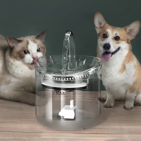 Fuente de Agua Automática con Sensor 2L para Multi Mascota