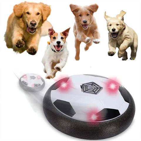 Juguetes eléctricos interactivos para perros con luces LED