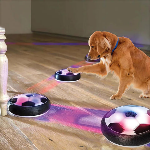 Juguetes eléctricos interactivos para perros con luces LED